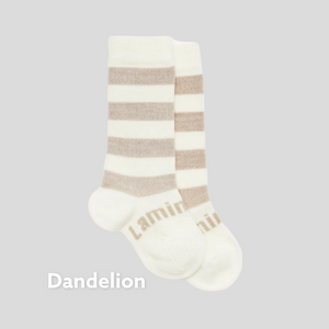 Lamington Socks